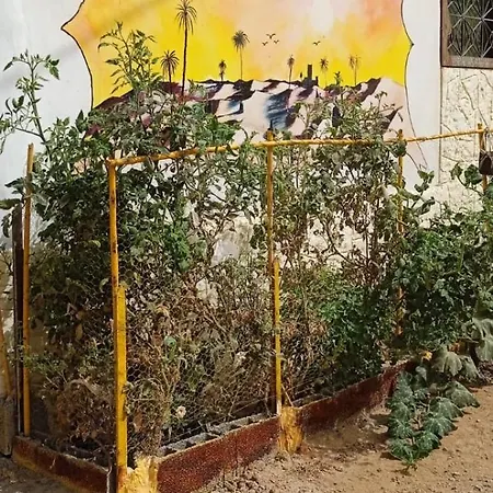 Chateau Berbere Madame Dellal Taroudant Exterior photo